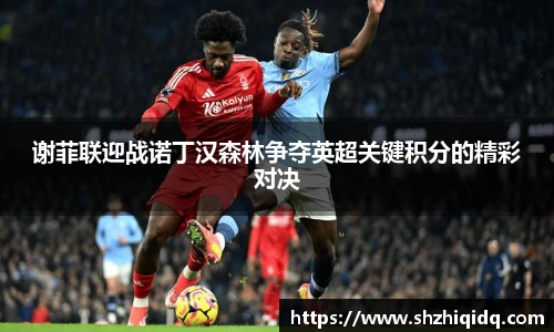 谢菲联迎战诺丁汉森林争夺英超关键积分的精彩对决
