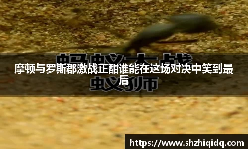 摩顿与罗斯郡激战正酣谁能在这场对决中笑到最后